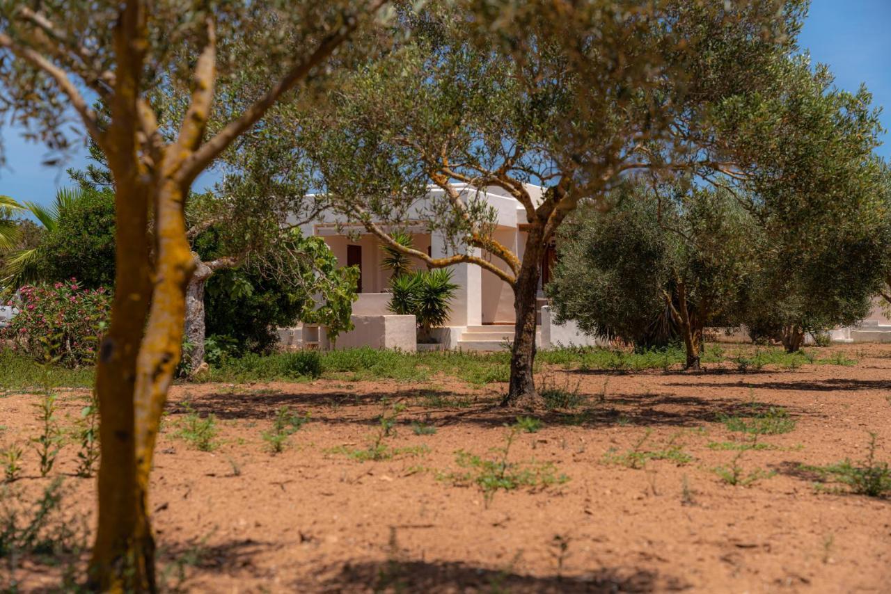 פלאיה מיג'ורן Siamoformentera Villa Beatrice מראה חיצוני תמונה